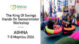 The King Of Swings Hands On Sensorimotor Workshop